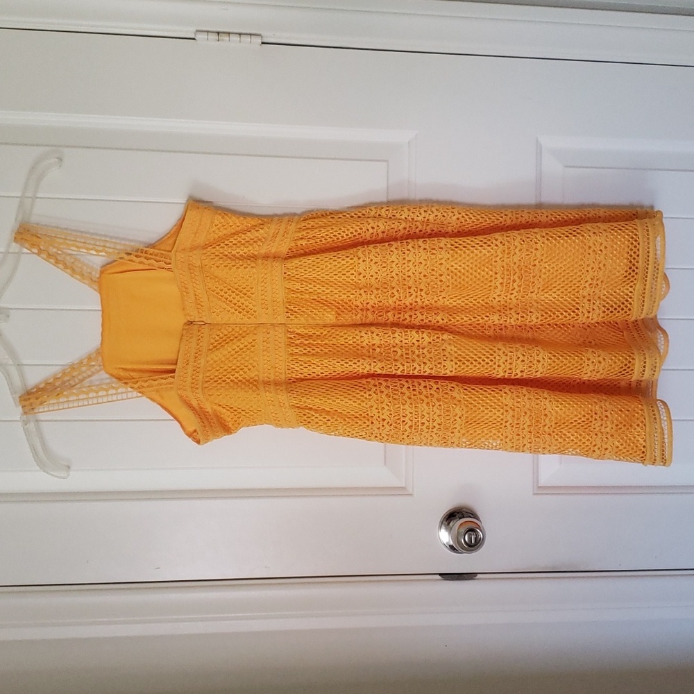 Tahari ASL Honey On My Mind Lace Apron Neck Dress Size 2 NEW - Picture 7 of 10